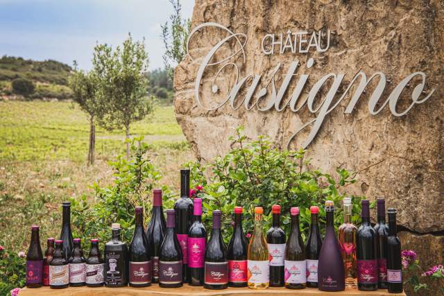 Château castigno cave domaine viticole atypique assignan vin bio biodynamique béziers narbonne 