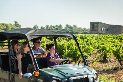 Château Castigno, Assignan, Safari dans les vignes