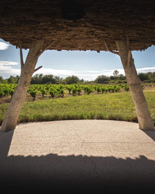 Château castigno cave atypique assignan vin biologique biodynamique béziers narbonne 
