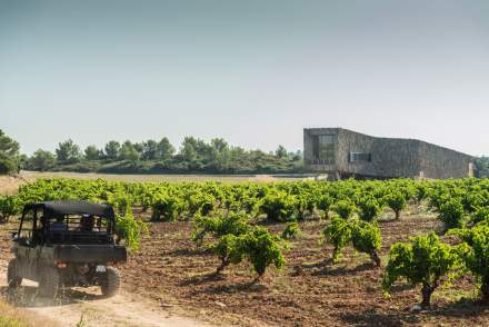 Château Castigno, Assignan, Vignes À la découverte de l’œnotourisme en Hérault