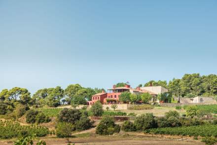 Château Castigno - Assignan Tourism Hérault Château &amp; Village Castigno in Assignan (34)