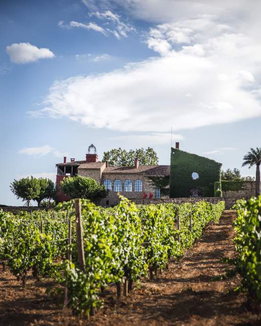 Château castigno cave domaine viticole atypique assignan vin bio biodynamique béziers narbonne 