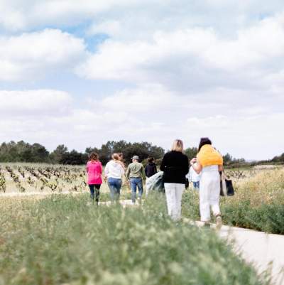 Château Castigno, Assignan, Falaise