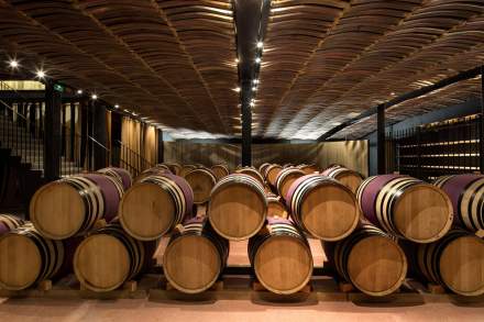 Château Castigno, Assignan, Cellar barrel Wine tourism Hérault Assignan